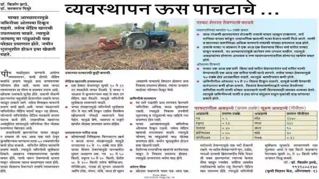 पाचट जाळू नका! उस पाचट व्यवस्थापनाने वाढवा ऊस उत्पादन